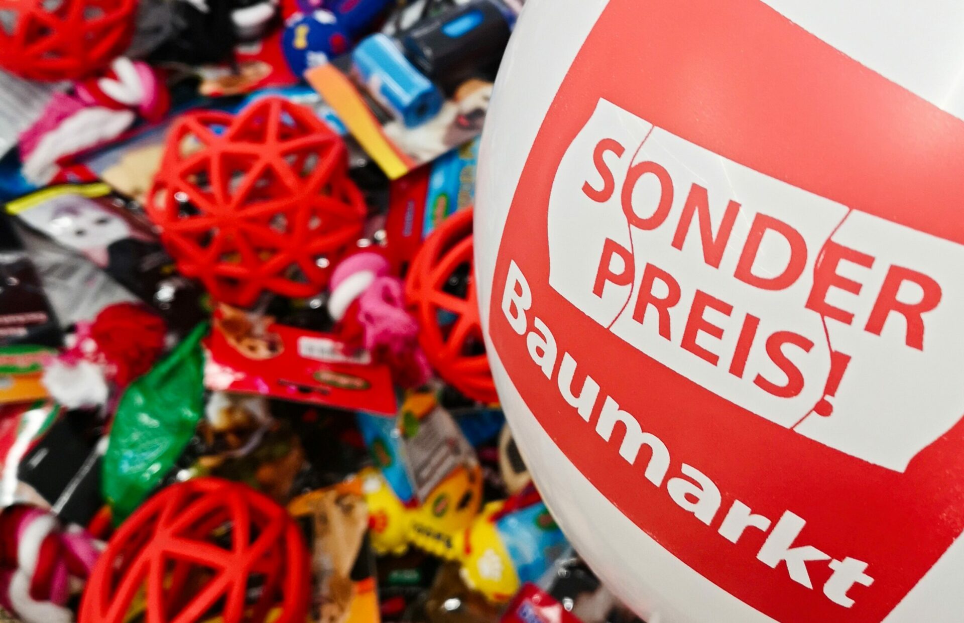 Spendenübergabe: Sonderpreis Baumarkt spendet Tierbedarf an Hirschberger Fellnasen